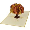 Fall Foliage Canadian Maple Tree Pop Up Greeting Card for