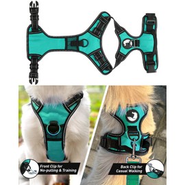 Joytale No Pull Dog Harness for Large Dogs, Reflective Pet Vest with Front Clip, Adjustable Soft Padded Harnesses with Easy Control Handle for Training and Walking, Teal, L