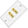 Tunghey 2Pack Gold Plated Speaker Wall Plate With Banana Plug