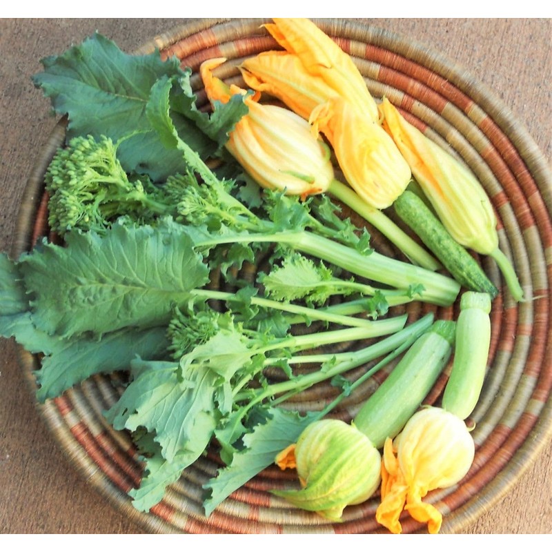 TomorrowSeeds - Broccoli Rabe (Rapini) Seeds - 3000+ Count -