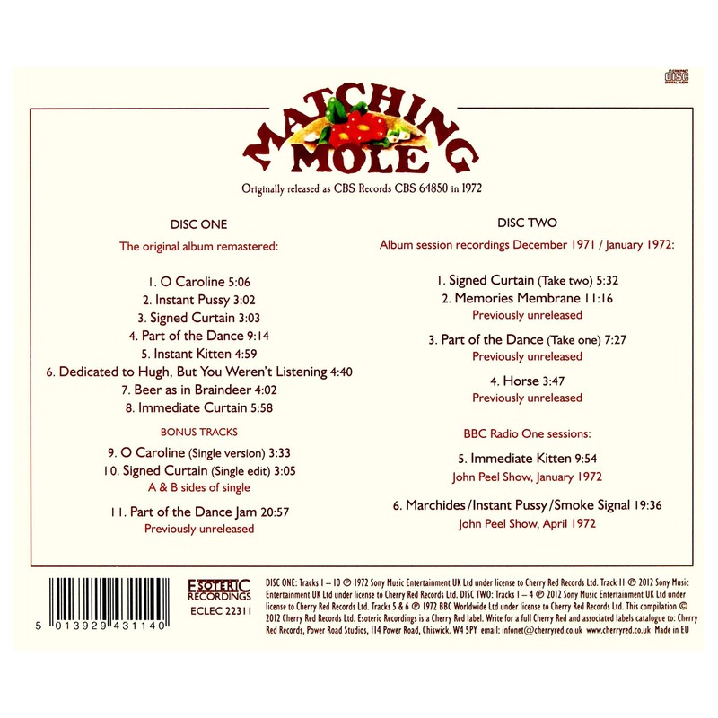 Matching Mole (Expanded Edition)