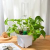 SiliFine 4 Set Plant Watering Devices Include Self Watering Spikes