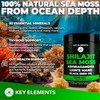 KEY ELEMENTS Organic Shilajit Gummies with Sea Moss Gummies -