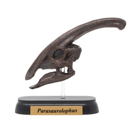 73504 Dinosaur parasaurorohusu Skull Mini Model (FDW – 504)