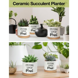 PWHINGN Emotional Support Plant Pot - 3.5 inch Ceramic Succulent Planter Pots, Funny Plant Pots Office Windowsill Aloe Vera Plants Pots Gifts s for Women Mom Grandma Plant Lovers (Not Plants)