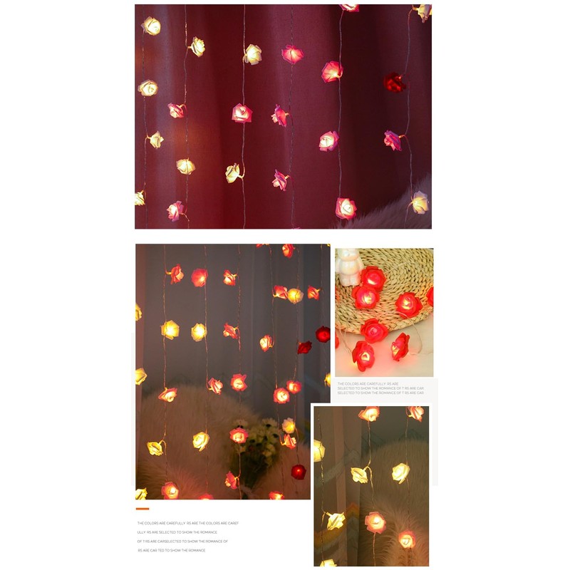 9.8 ft (3 m) 20 flowers create a mood! Rose