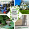 Mighty Mint Rodent Repellent Pest Control, Diatomaceous Earth Peppermint Pest