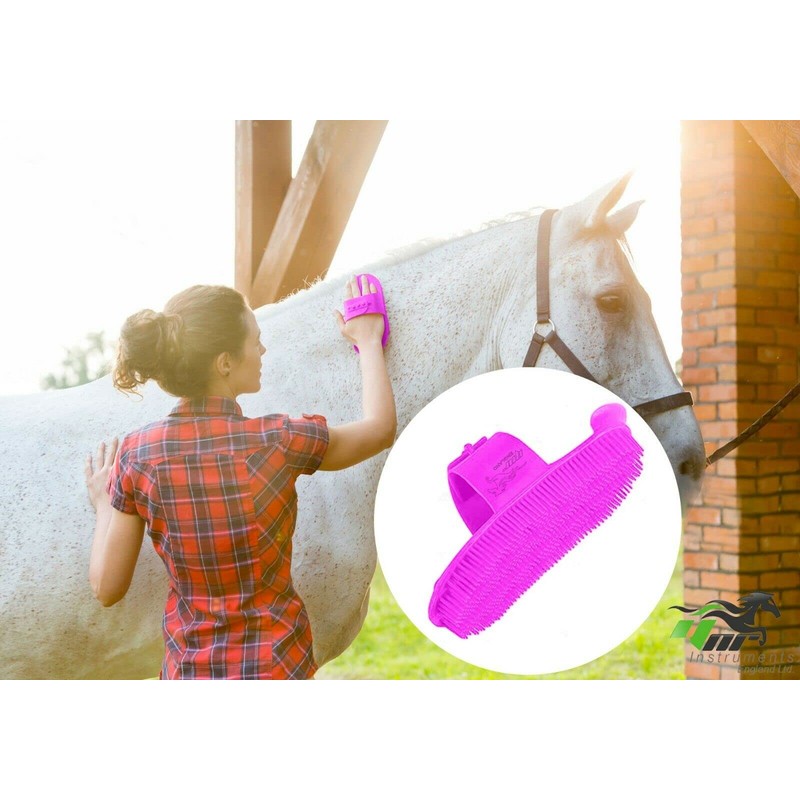 Black Plastic Curry Comb with Adjustable Strap Horse Grooming