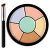 6-in-1 Face Palette - Full Coverage,Colour Correcting, Creamy Blendable Colour