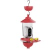 Ant Moat and Pole Mounted Kit for Hummingbird Feeder