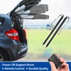 ARISELIFT Rear Tailgate Power Lift Support Liftgate Hatch Shock Strut