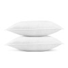 Pillowtex 4 Pack White Throw Pillow Insert, 20x20 Overstuffed Polyester