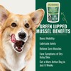 Azestfor Anti-Inflammatory Green Lipped Mussel for Dogs Powder