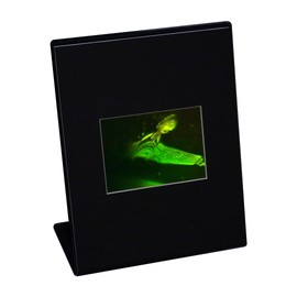 3D Klingon Bird of Prey Hologram Picture (Desk Stand), Collectible Photopolymer Type Film