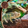 Riare 2 Pack Natural Coconut Fiber Substrate for Reptile- Premium
