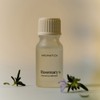 AROMATICA Essential Oil 10ml - (NEW) Eucalyptus