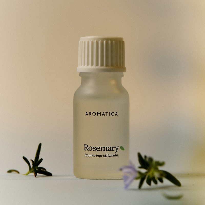 AROMATICA Essential Oil 10ml - (NEW) Eucalyptus