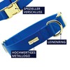 VELVETIER® Dog Collar | Stylish Dog Collar Made of Vegan