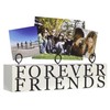 Malden International Designs Tabletop Photo Clips Wood Block Forever Friends