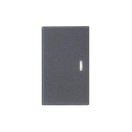 Panasonic WTA3021H Handle with Display for Embedded Switches, Matte Gray