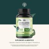 LIFE 360 Probióticos 60 Billones 4 Cepas 240 cápsulas 540mg