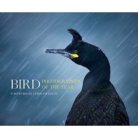Bird Photographer of the Year