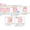 dacco 94171 C-Section Elastic Belt, One Size Fits Most, Peach