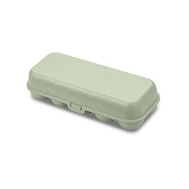 EGGS TO GO egg box Green