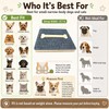 Dog Ramp for Stairs 2 Pack, 4-Level Adjustable Wooden Pet
