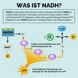 Azaroe NADH 50mg, Hochdosiert Zusammengesetzte Formel mit Coenzyme Q10, ATP-Produktion, 60 Kapseln (3er Pack)
