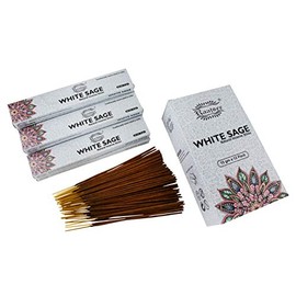 raajsee 15 GMS x 12 Pack White Sage Incense Sticks,100% Pure Organic Natural Hand Rolled Free from Chemicals - Perfect for Aromatherapy, Cleansing,Meditation and Church