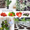 ORIMERC 2-Inch Net Pots for Hydroponics - 100 Pack with