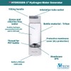 UVtech Hydrogen-1 Original Hydrogen Water Generator 400 ml Japanese SPE