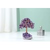 Jovivi Natural Amethyst Healing Crystal Money Tree on Amethyst Cluster