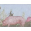 Why You Never Feed Pigs Bubble Gum Tree-Free Greetings Funny/Humorous