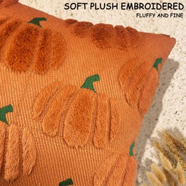 Bunliuys Pumpkin Spring Decorative Pillow Covers 16x16 Set of 2 Throw Pillow Covers, Faux Fur Square Pillow Cover Fluffy Plush Accent Throw Pillow Case, Throw Pillow Cover Cushion Cover for Farmhouse