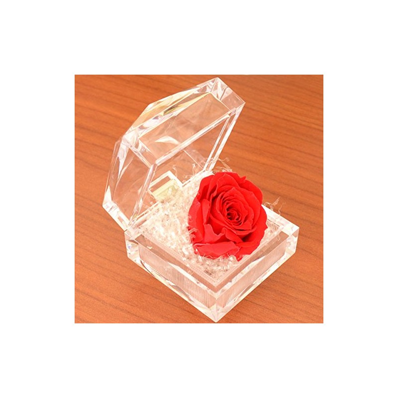 Birthday Anniversary Gift for Mother's Day Women Red Rose (Mini)