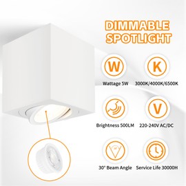 YindaLux Dimmable LED Surface Mounted Spotlight, Adjustable Ceiling Spotlights Diameter 80 x 84 mm, Contains a LED Module 230 V, 3000 K/4000 K/6500 K Aluminium Ceiling Light for Bathroom, Modern