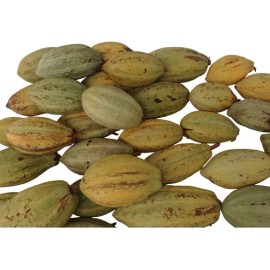 5 Kilos De Cacao Seco Grano Agroecologico Comalcalco Tabasco