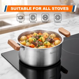 4L Deep Fryer Pot with Basket, Cool Touch Handles for All Stovetops