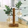 Wood and Glass Plant Propagation Stand for Indoor Cuttings –