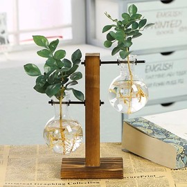 Wood and Glass Plant Propagation Stand for Indoor Cuttings – Two Bulb Vases with Decorative Desktop Display