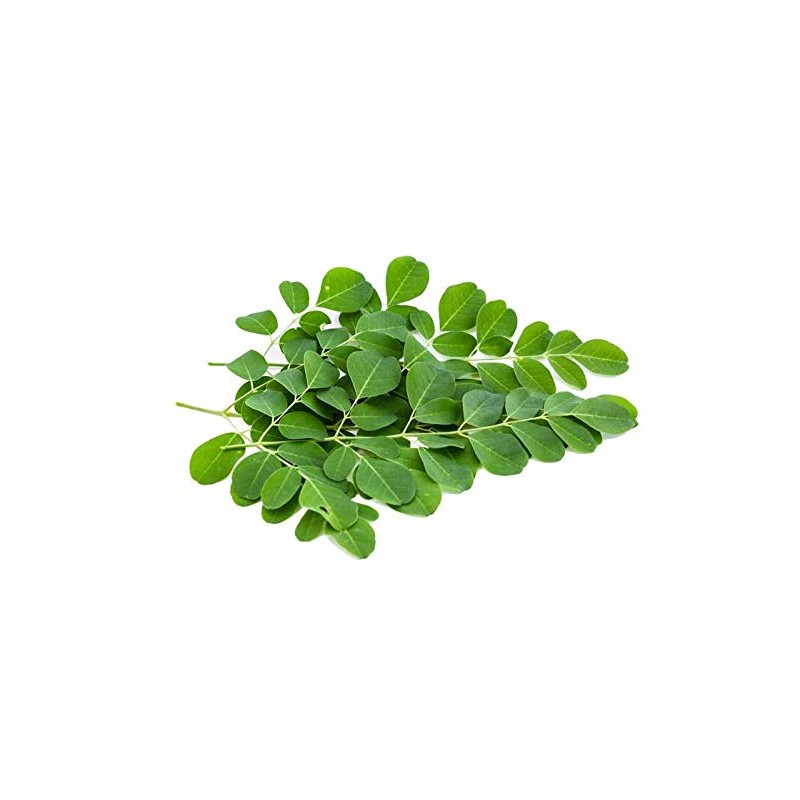 Lotus Today Herbs, Pure Moringa Leaves, for Salad Topping, Herbal