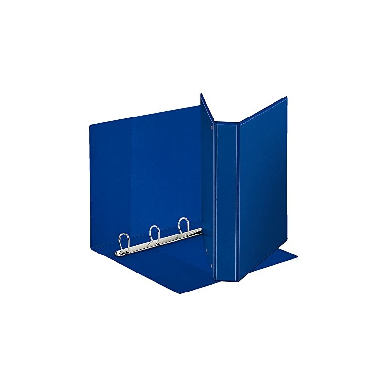 Esselte Folder with Display Made of PP Adjustable (3 Pockets)