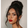 ValueBargain Black Birdcage Veil Headband for Women, 1920s Retro Bridal