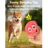 TONGKTAI Dog Toys, Soft Stuffed Plush Balls Pet Chew Squeake