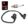 Ignition Coil & Spark Plug For Honda TRX90 TRX90EX Sportrax