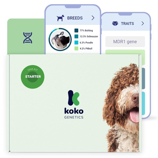 Koko Genetics Starter DNA Test for Dogs, Analyzes & Identifies
