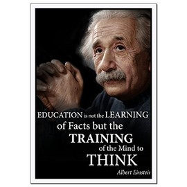 Albert Einstein Quote Poster Laminated Young N Refined (16x20)