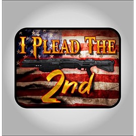 Vinyl Junkie Graphics I Plead The 2nd Sticker/Decal